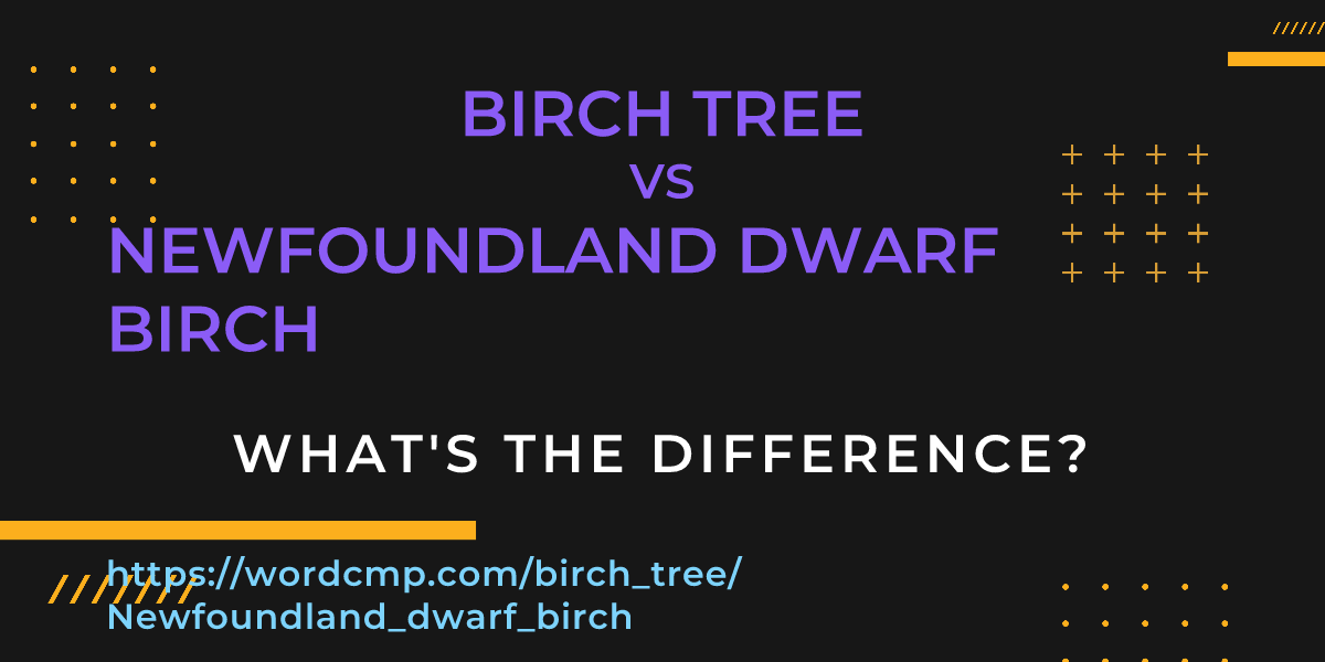 Difference between birch tree and Newfoundland dwarf birch
