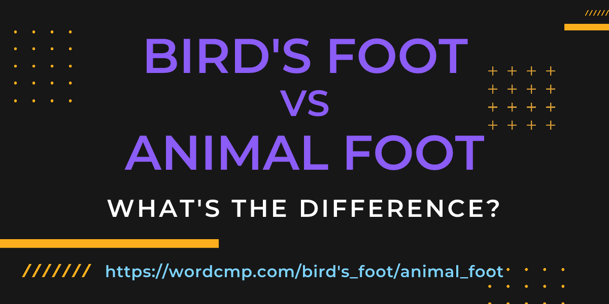 Difference between bird's foot and animal foot