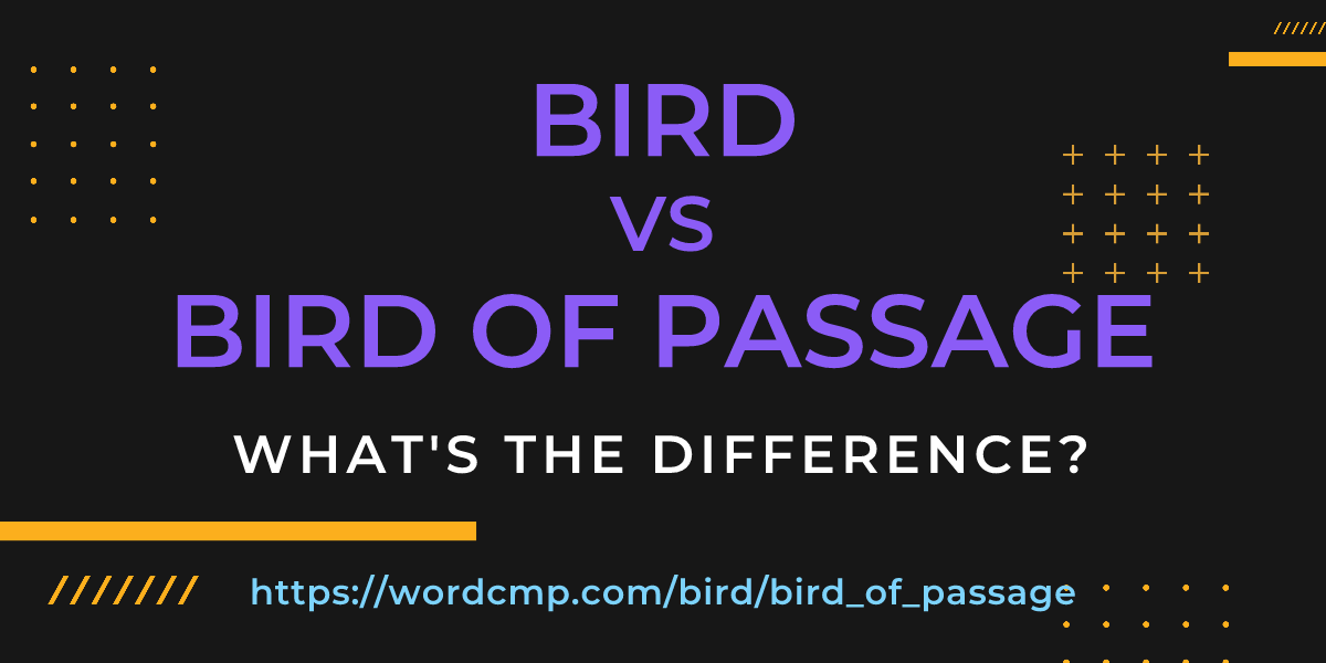 Difference between bird and bird of passage