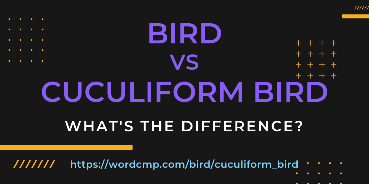 Difference between bird and cuculiform bird
