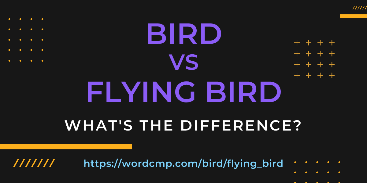 Difference between bird and flying bird