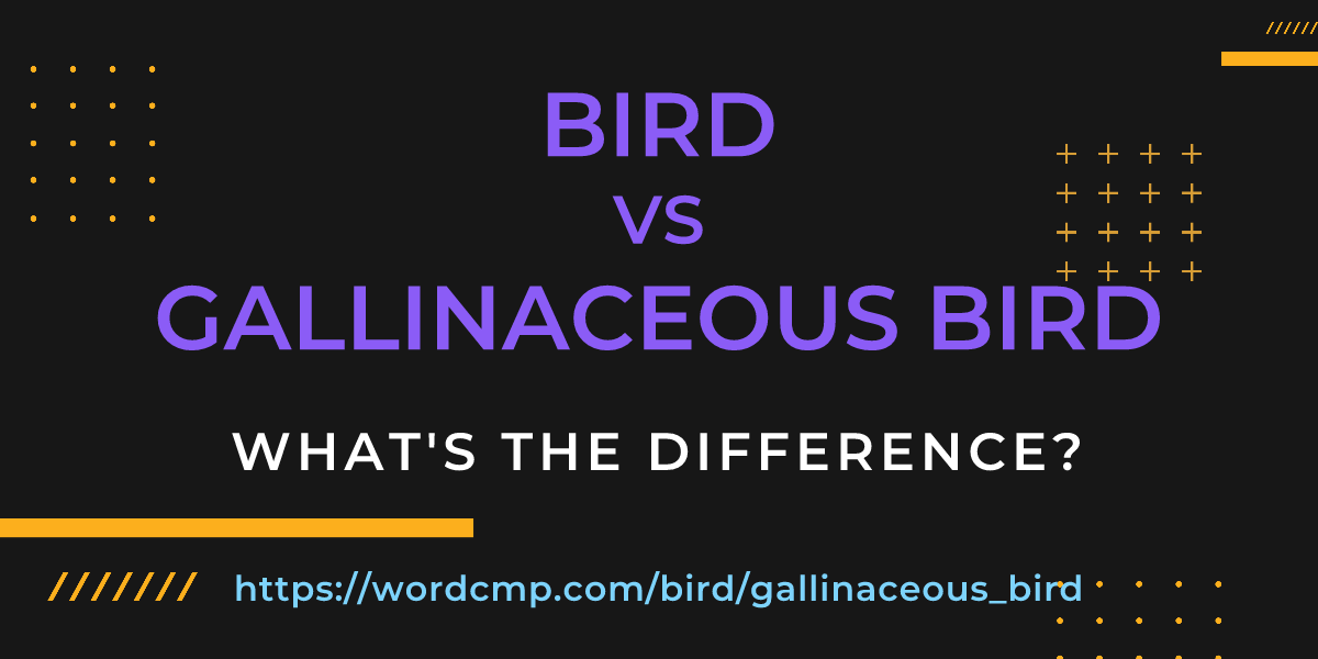 Difference between bird and gallinaceous bird