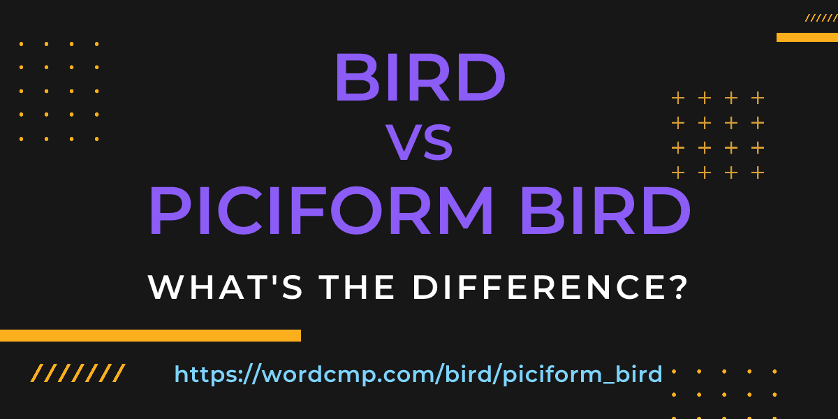 Difference between bird and piciform bird