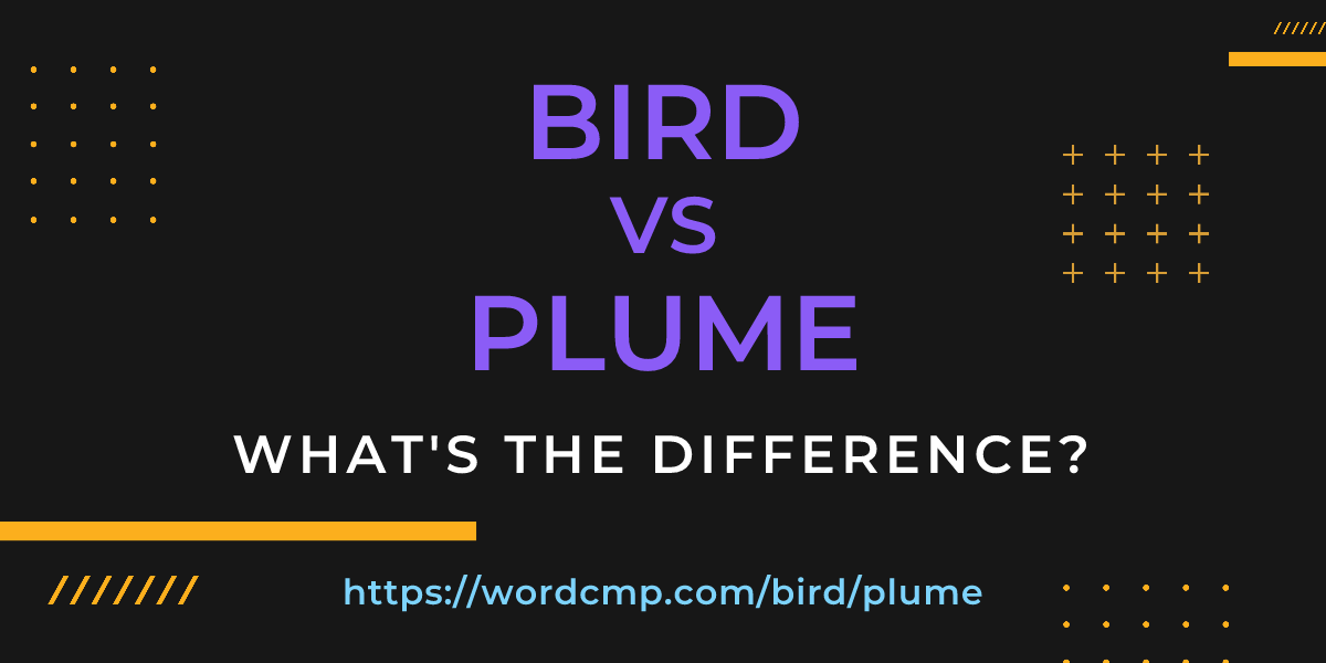 Difference between bird and plume