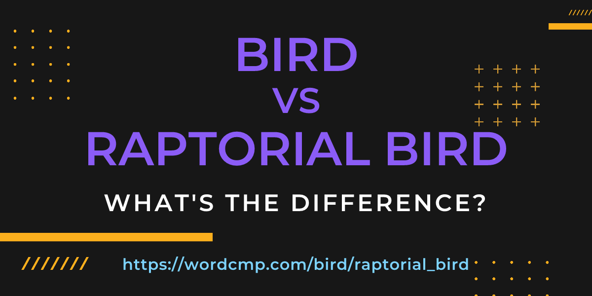Difference between bird and raptorial bird