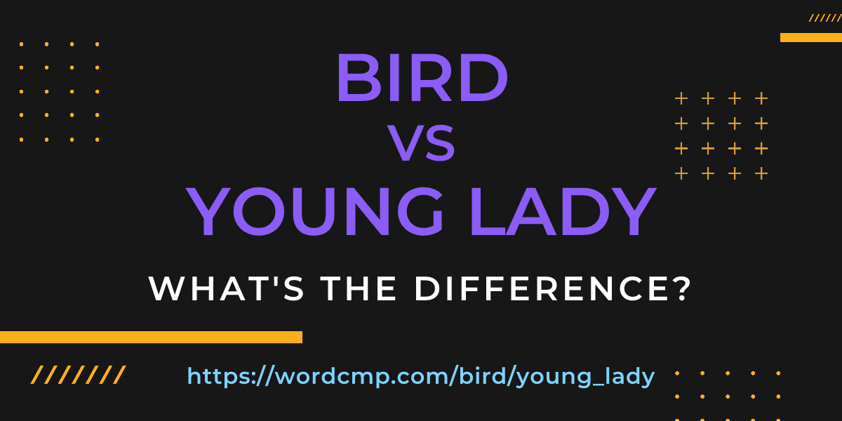 Difference between bird and young lady