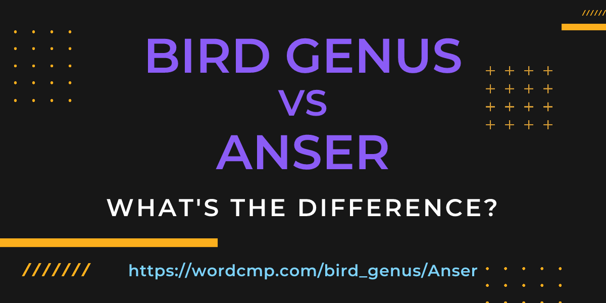 Difference between bird genus and Anser