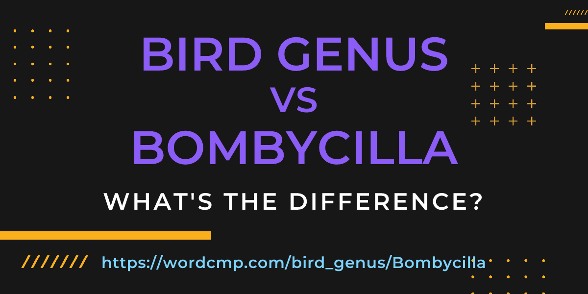 Difference between bird genus and Bombycilla