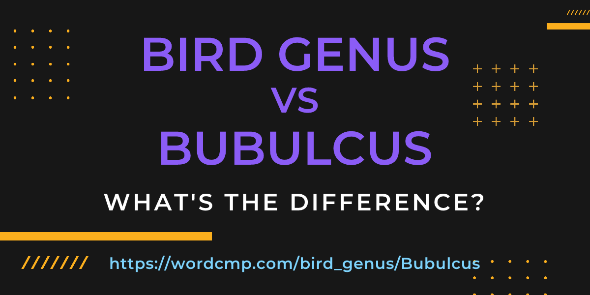 Difference between bird genus and Bubulcus