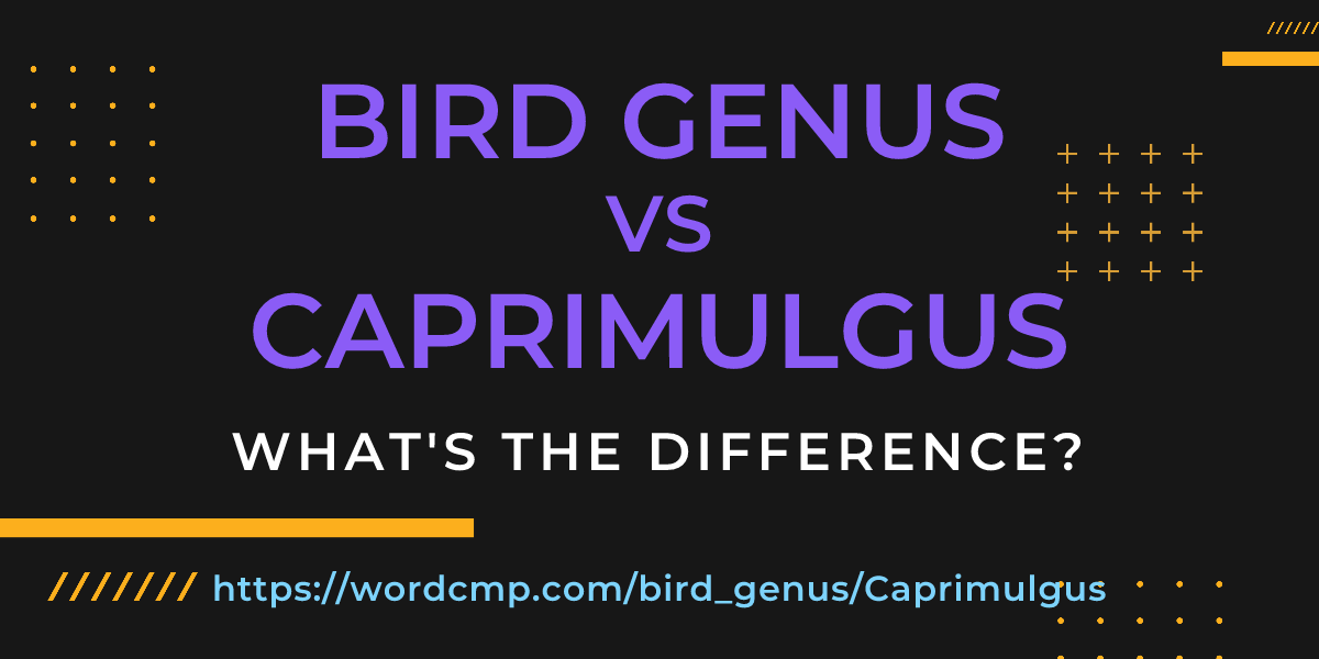 Difference between bird genus and Caprimulgus
