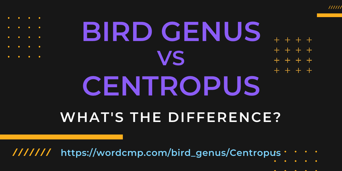 Difference between bird genus and Centropus