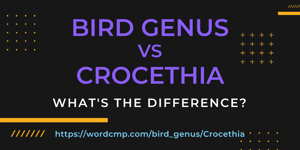 Difference between bird genus and Crocethia