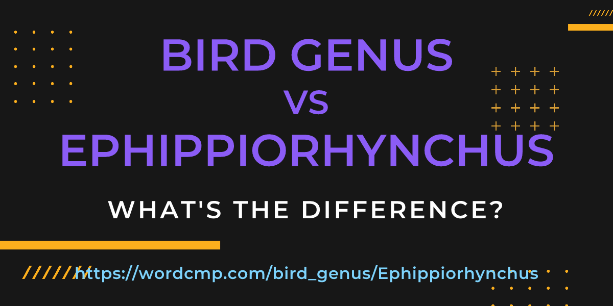Difference between bird genus and Ephippiorhynchus