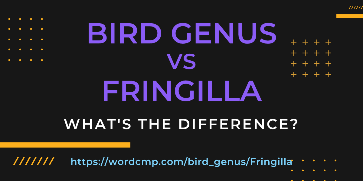 Difference between bird genus and Fringilla