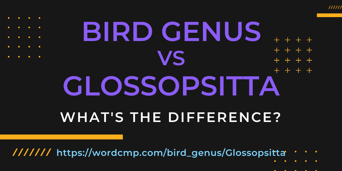 Difference between bird genus and Glossopsitta
