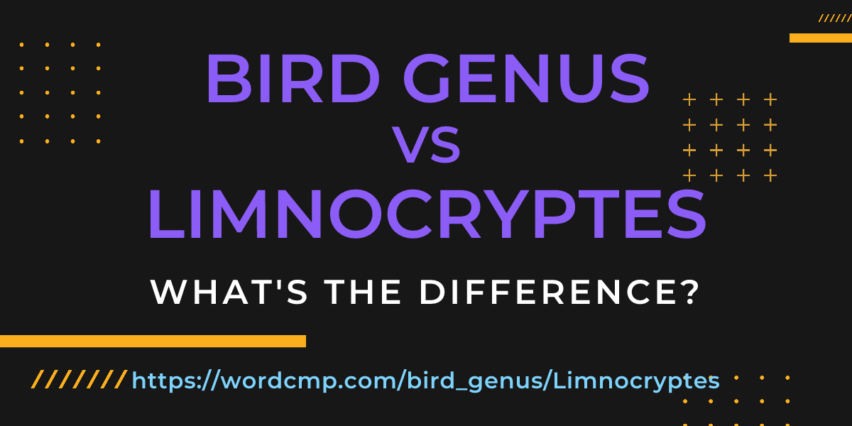 Difference between bird genus and Limnocryptes