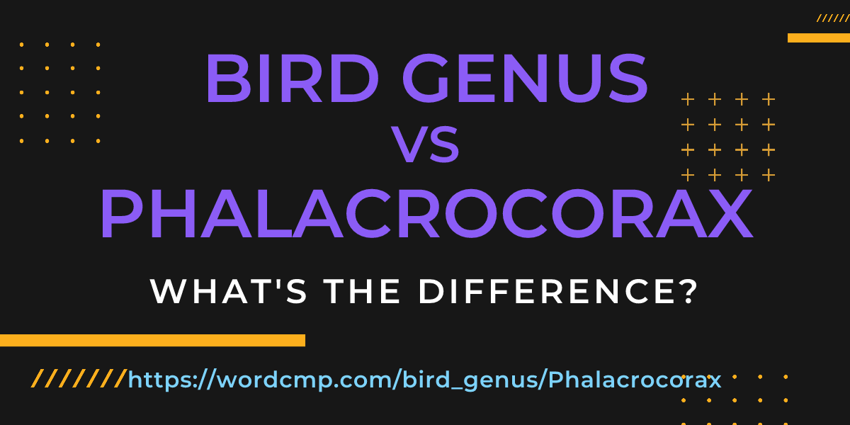 Difference between bird genus and Phalacrocorax