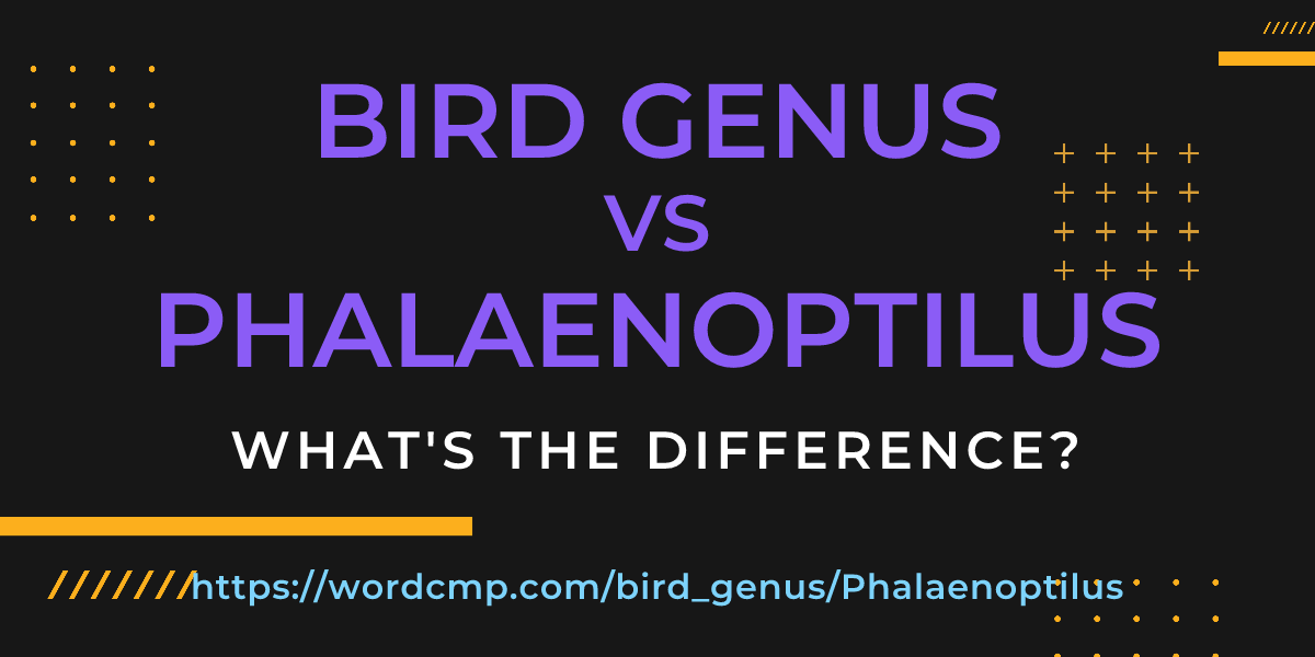 Difference between bird genus and Phalaenoptilus