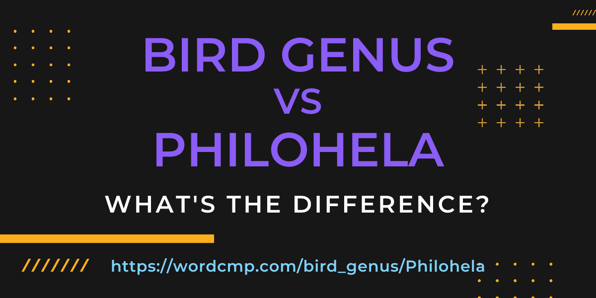 Difference between bird genus and Philohela