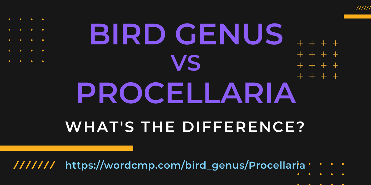 Difference between bird genus and Procellaria
