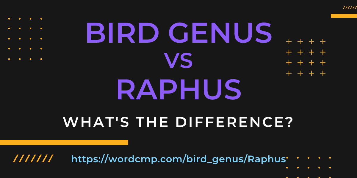 Difference between bird genus and Raphus