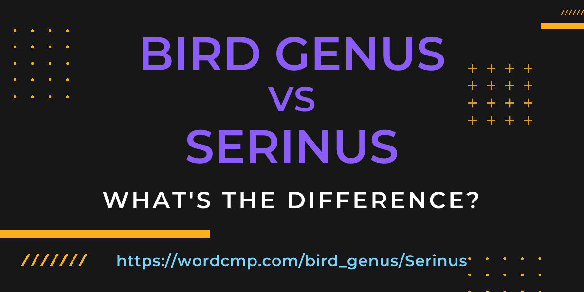 Difference between bird genus and Serinus
