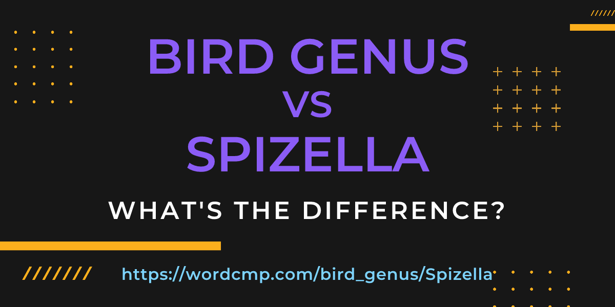 Difference between bird genus and Spizella
