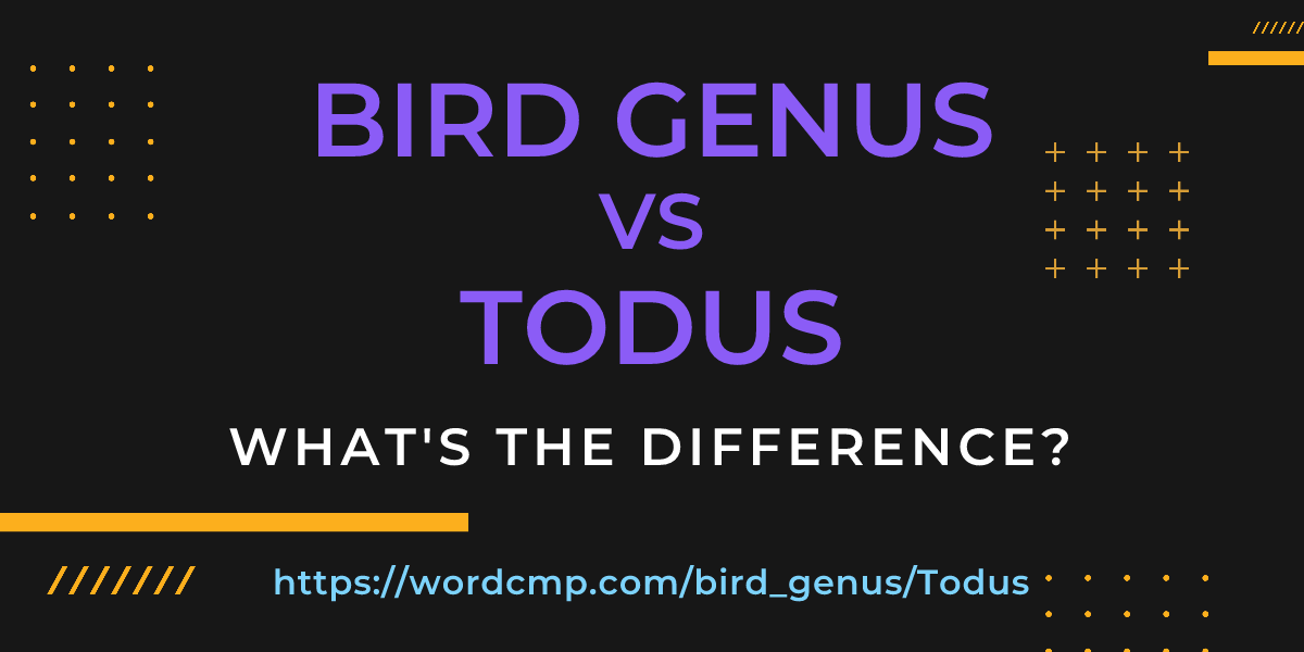 Difference between bird genus and Todus