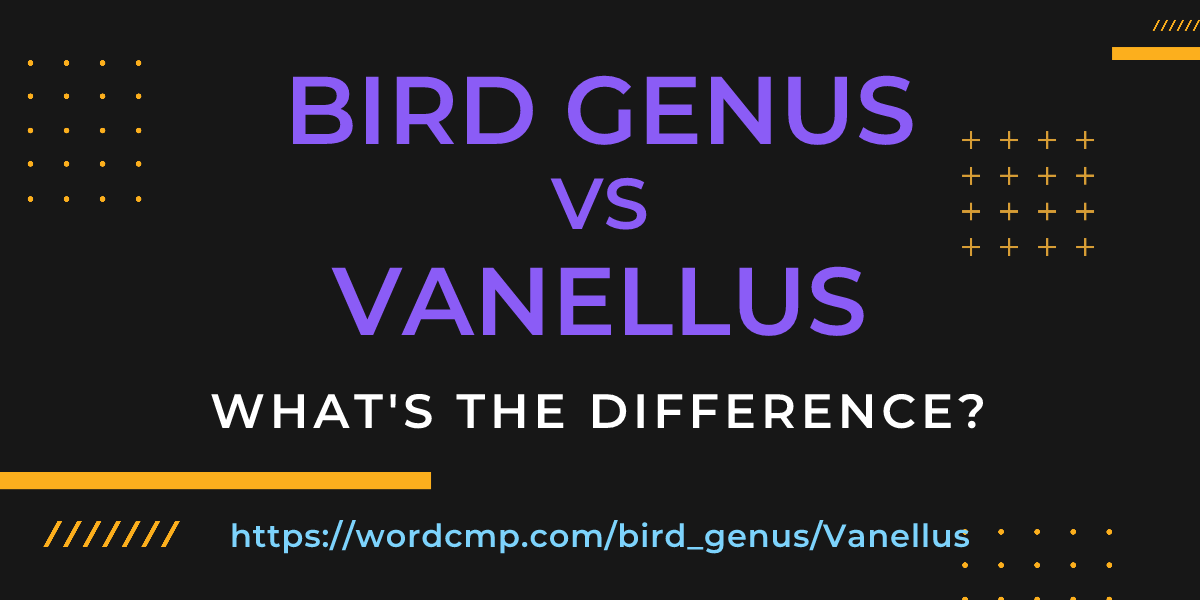 Difference between bird genus and Vanellus