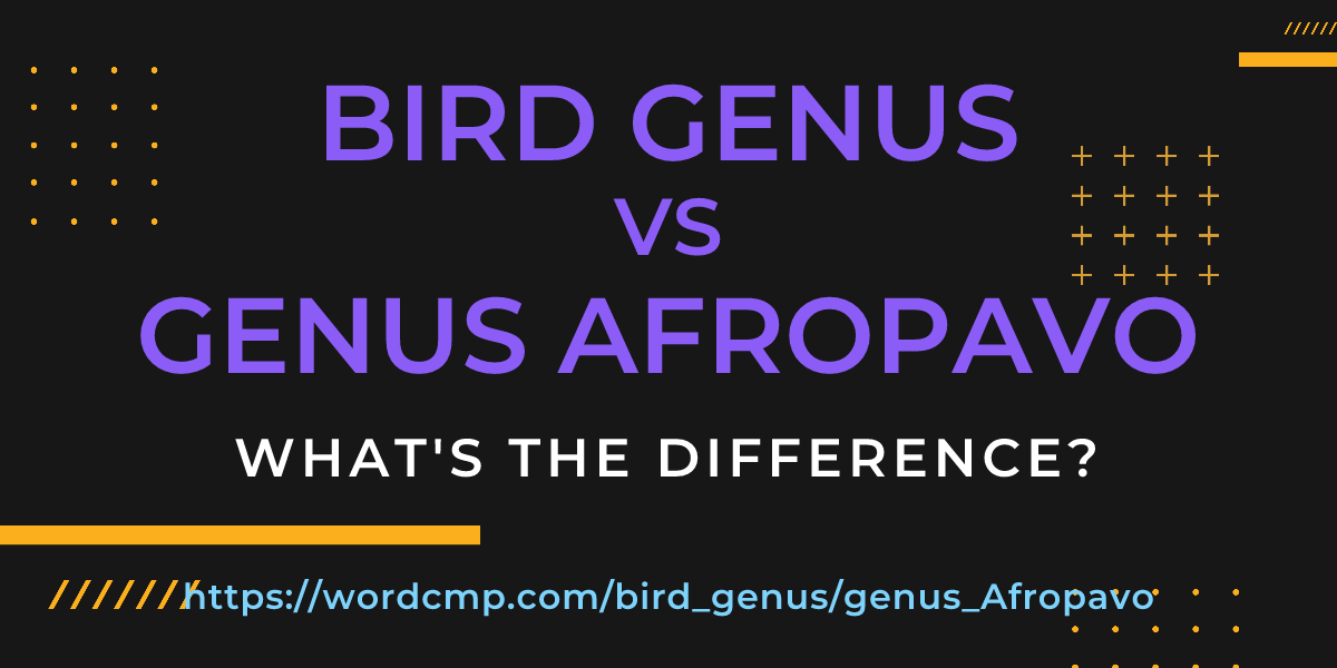Difference between bird genus and genus Afropavo