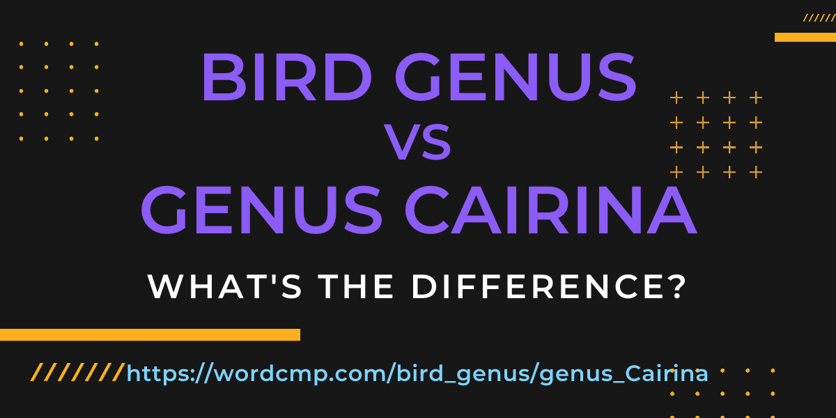 Difference between bird genus and genus Cairina