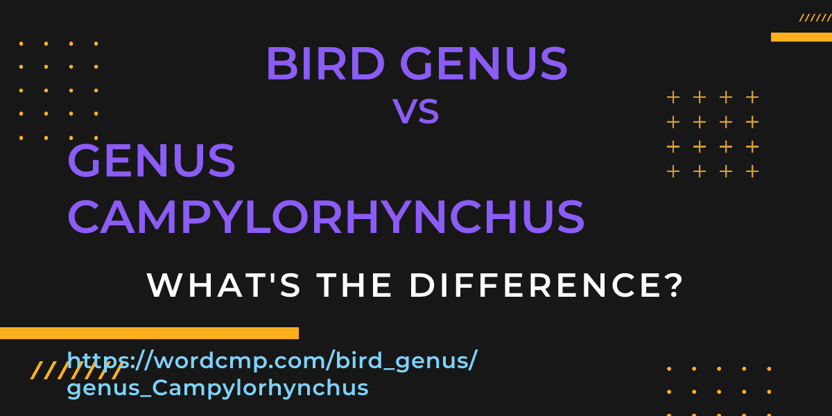 Difference between bird genus and genus Campylorhynchus