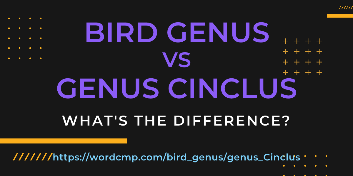 Difference between bird genus and genus Cinclus