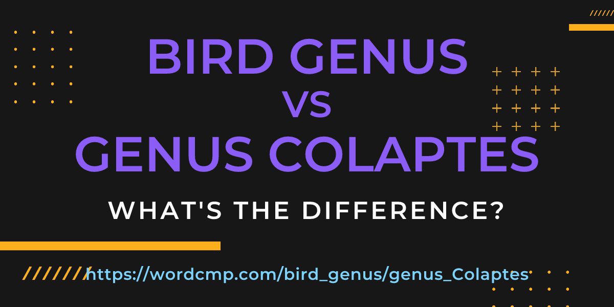 Difference between bird genus and genus Colaptes