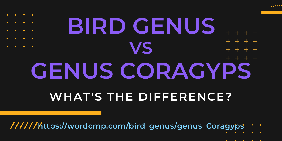 Difference between bird genus and genus Coragyps