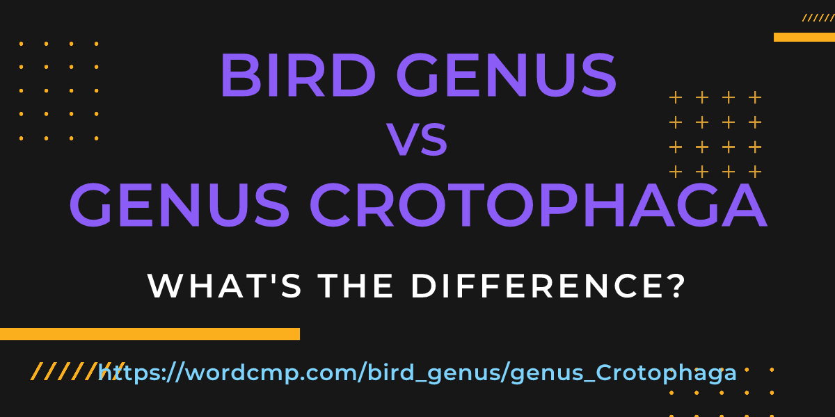 Difference between bird genus and genus Crotophaga