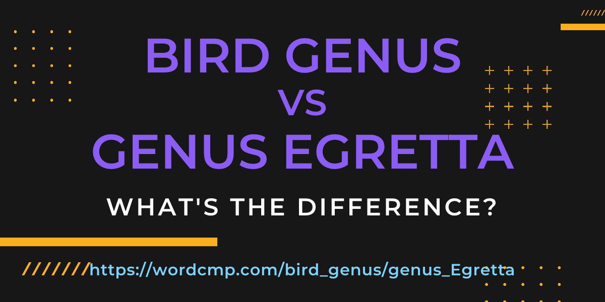 Difference between bird genus and genus Egretta