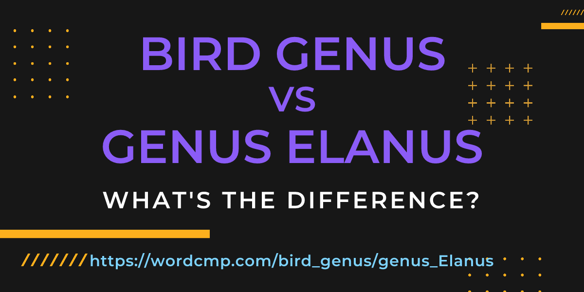 Difference between bird genus and genus Elanus