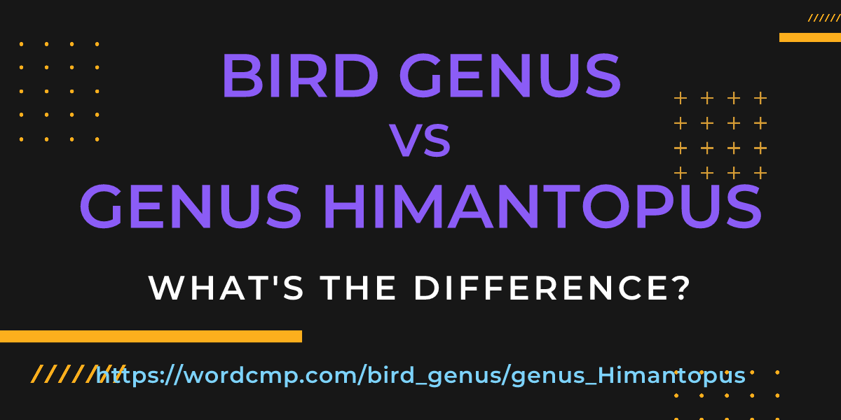 Difference between bird genus and genus Himantopus