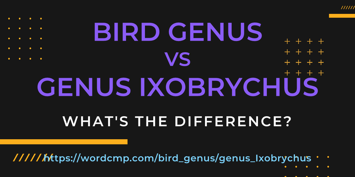 Difference between bird genus and genus Ixobrychus