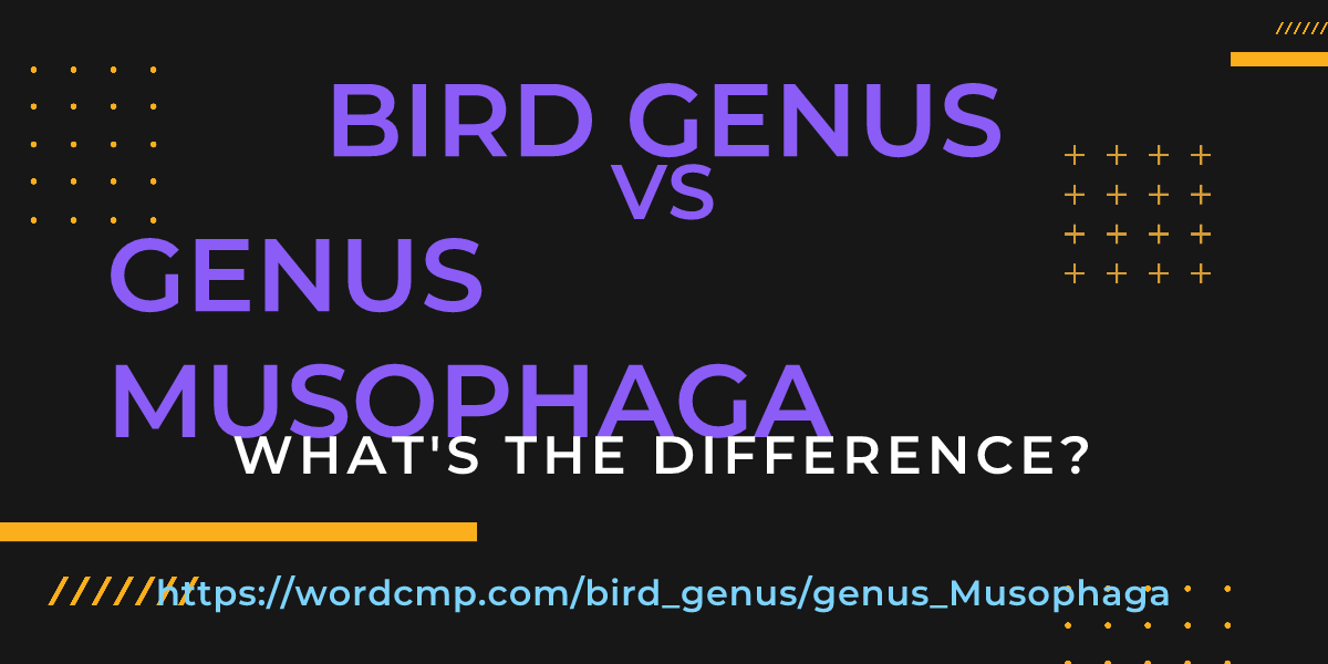 Difference between bird genus and genus Musophaga