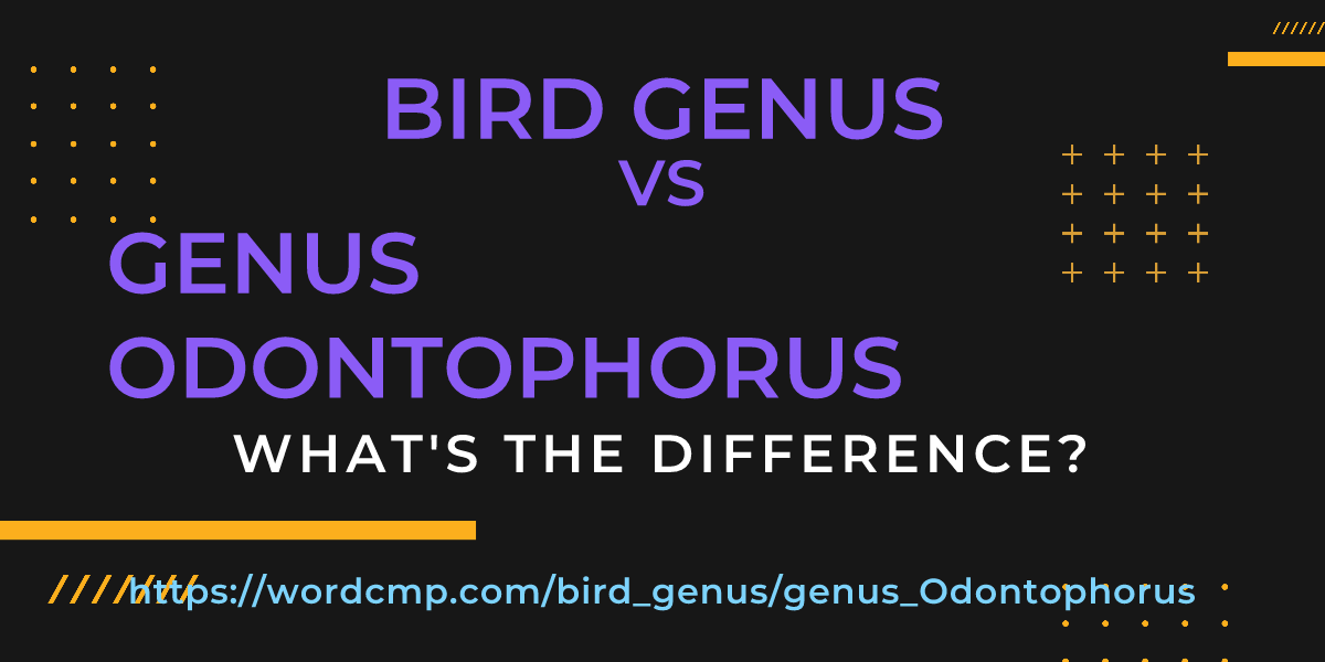 Difference between bird genus and genus Odontophorus