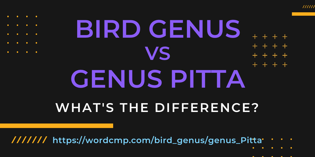 Difference between bird genus and genus Pitta