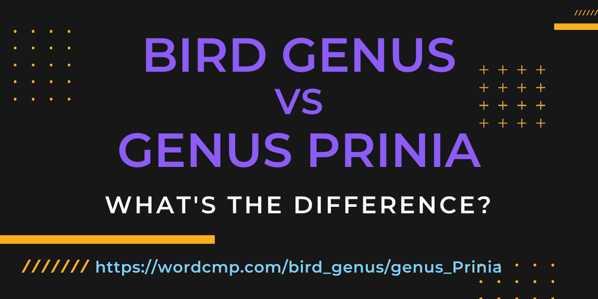 Difference between bird genus and genus Prinia
