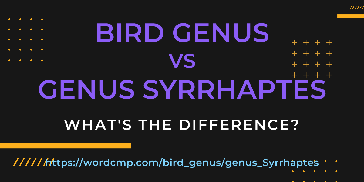 Difference between bird genus and genus Syrrhaptes