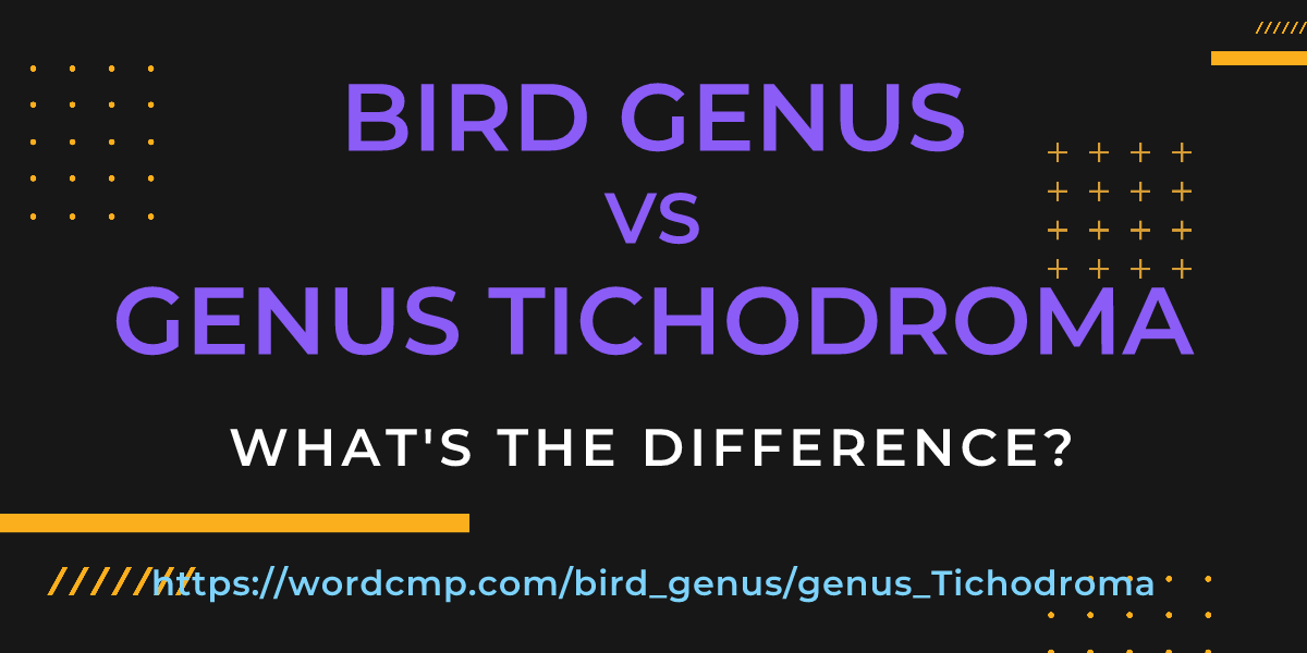Difference between bird genus and genus Tichodroma