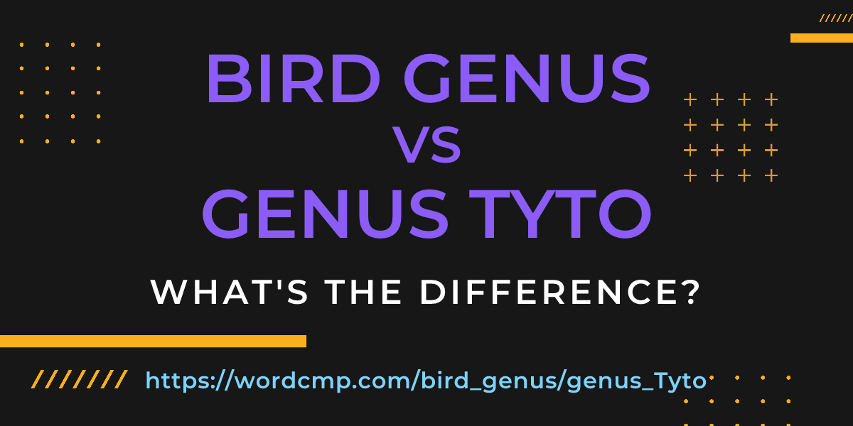Difference between bird genus and genus Tyto