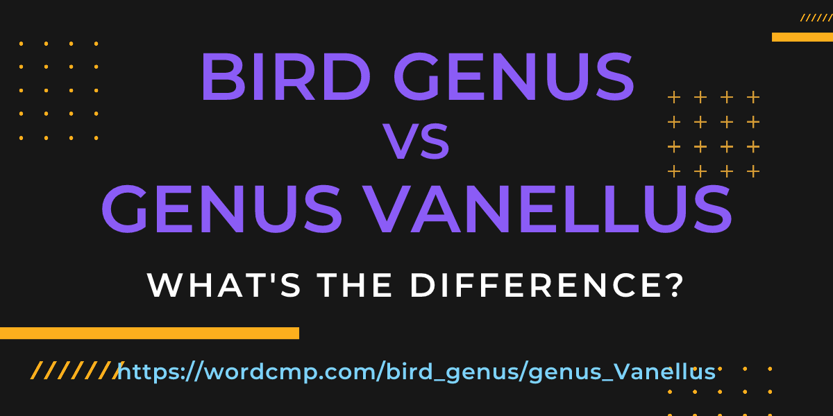 Difference between bird genus and genus Vanellus