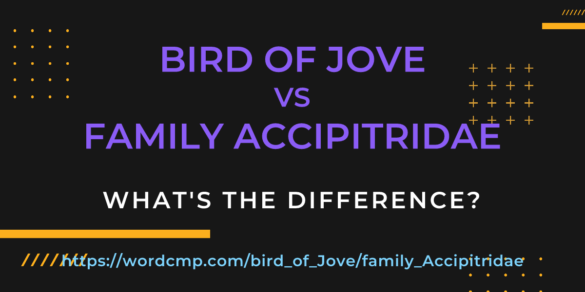 Difference between bird of Jove and family Accipitridae