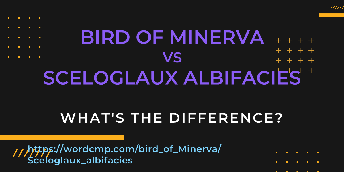 Difference between bird of Minerva and Sceloglaux albifacies